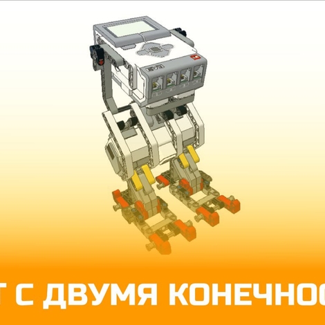 Робот с двумя конечностями