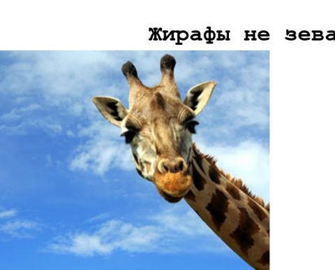 Занятие 14