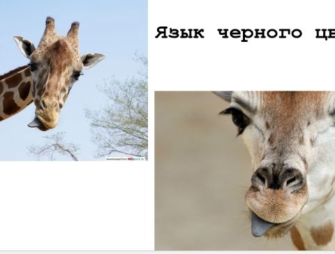 Занятие 14