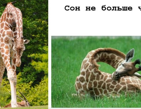 Занятие 14