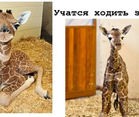 Занятие 14