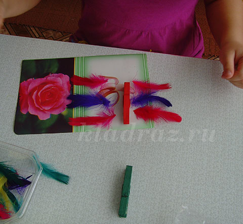 Попугаи из прищепок своими руками