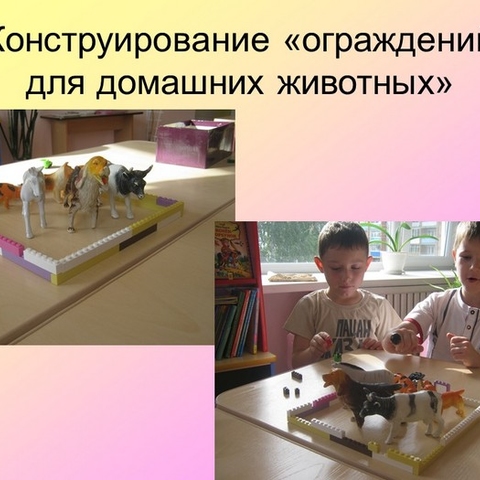 LEGO-конструирование как средство развития мышления детей дошкольного возраста