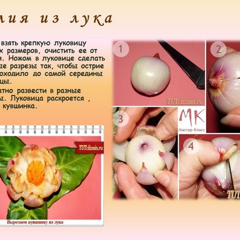 Приготовление салатов &ndash; искусство карвинга
