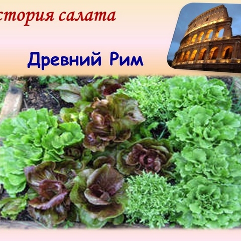 Приготовление салатов &ndash; искусство карвинга