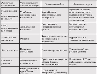 Опыт реализации проекта &laquo;Инженерная школа на базе общеобразовательной школы&raquo;