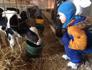 Как угостить вкусным молоком всю страну? ИКаРята из Кирова знают ответ!